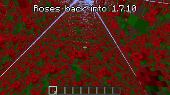 Buncha roses