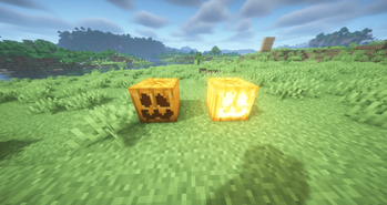 Kitty Face Pumpkin — screenshot 1