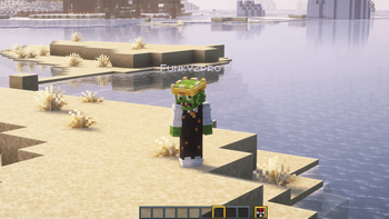 FreeCam