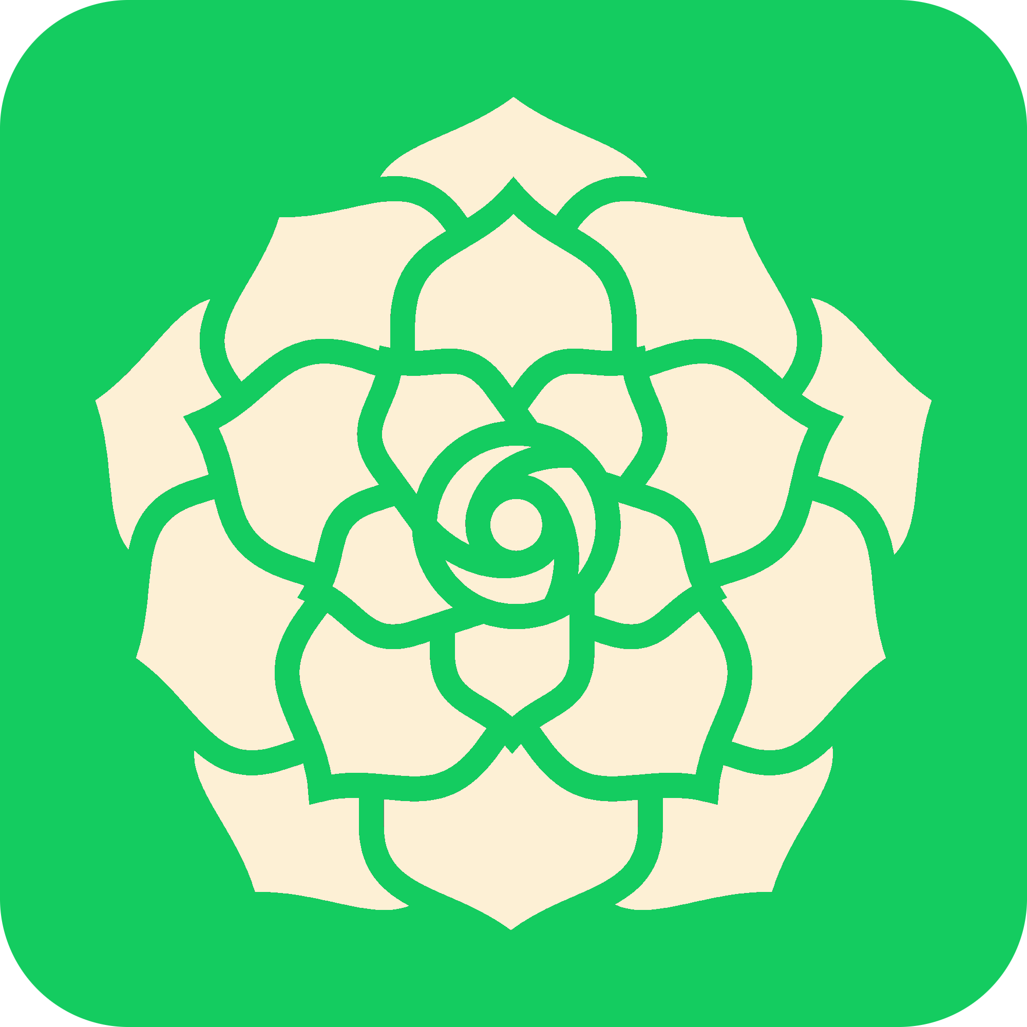 succulent-organization