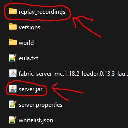 thecolonel63's Server Side Replay Recorder