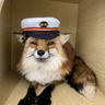 FurFoxxer