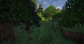 Mixed Forests