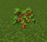 Despawn Events