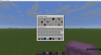 Shulker Box