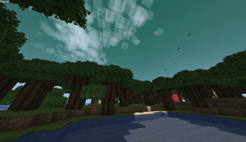 [Adventure] Dark Oak Forest