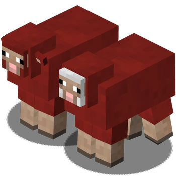 Dyed Sheep