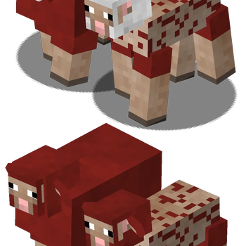 Dyed Sheep