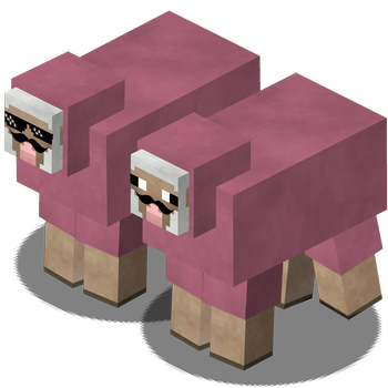 Pink Sheep