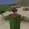 Harness Enchantments