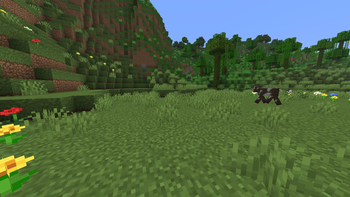 Lower GRASS sides