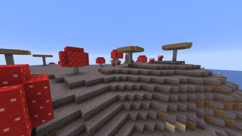 lower MYCELIUM sides