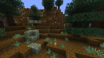 Lower PODZOL sides