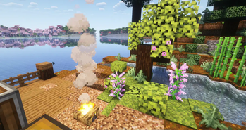 Nature Showcase
