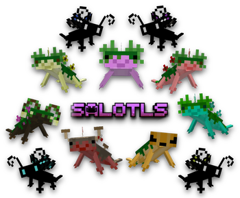 A flourists Best Salotl Friends