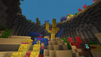Coral 2
