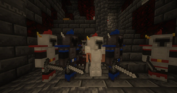 Mysterious Knights