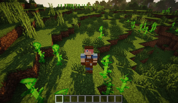 Image of a player with all the shader packs