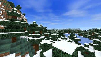 Spruce Forest