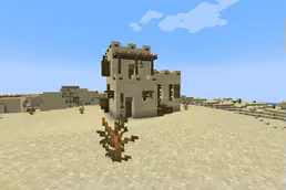 Desert House