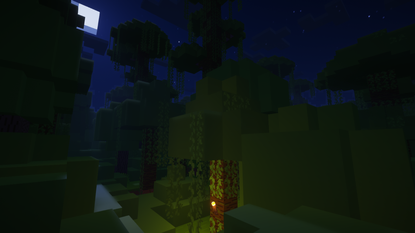 Jungle at night