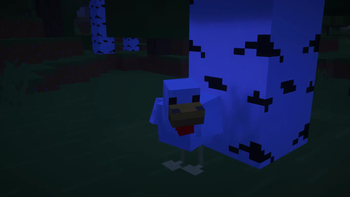 Chicken at night