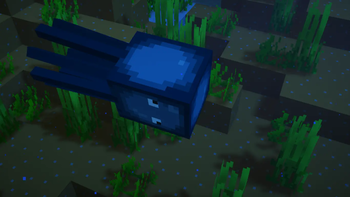 Squid