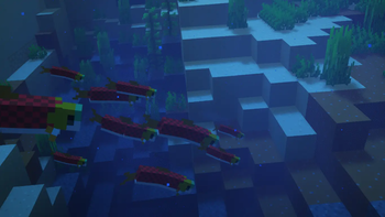 Fish