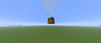 Chest