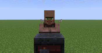 A NORMAL VILLAGER :I