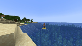 the beach