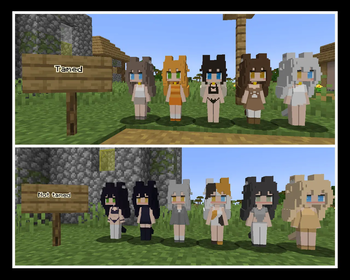 Cats