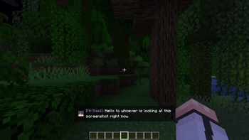 In-game view