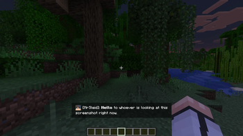 In-game view