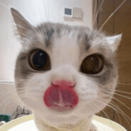 pufferler