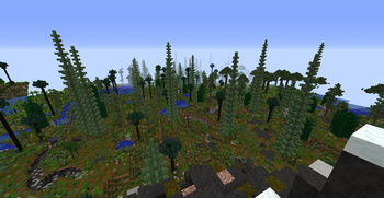 Southern taiga
