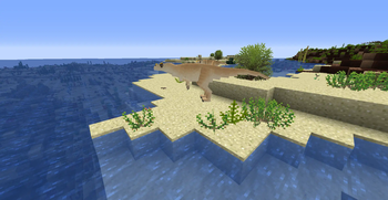 beach