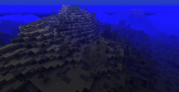 Glass Sponge Reef