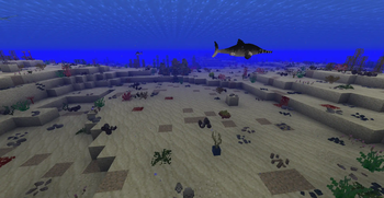 Shallow ocean