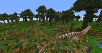 Floodplain