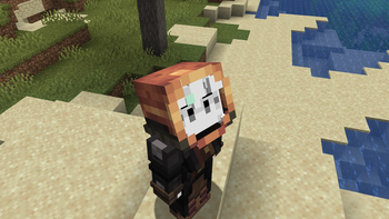 icon image