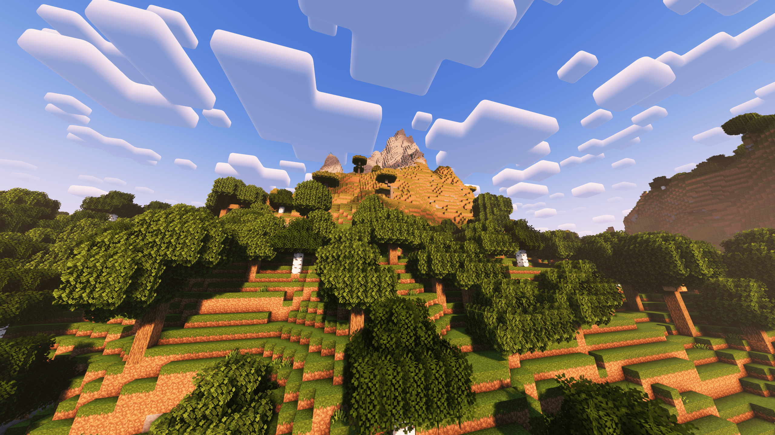 Forested mountain w/ Complementary Reimagined shaders