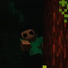 From The Woods