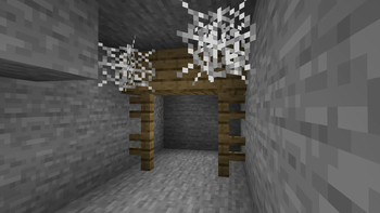 Cobwebs in mineshaft.