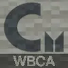 [WBCA]WillowBranchCarpetAddition