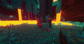 Nether