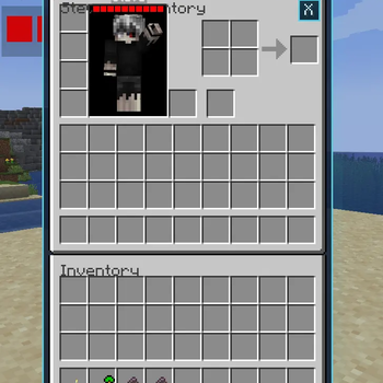 NPC Inventory