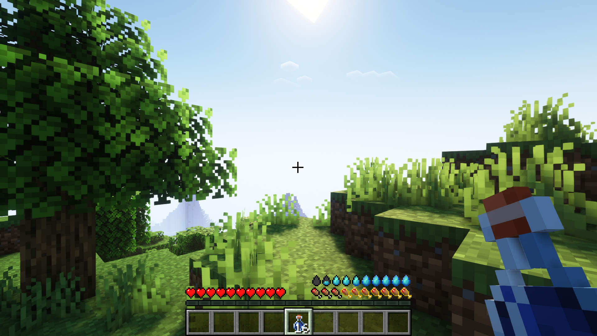 Gameplay screenshot with AppleSkin