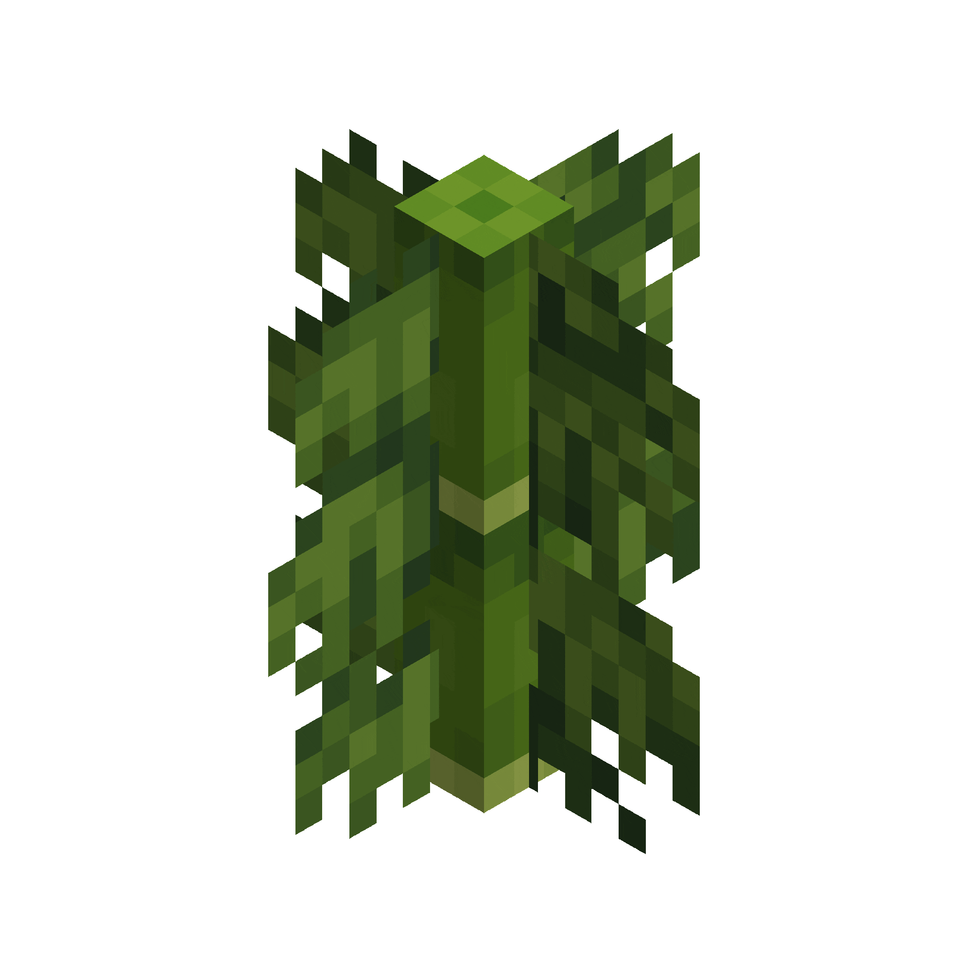 Dungeons Bamboo