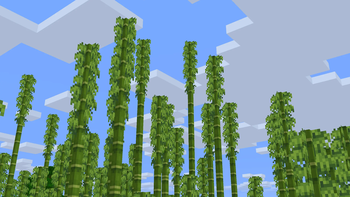 Bamboo Jungle